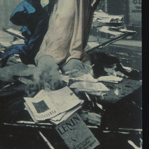 Book Cover, The Miracle Game