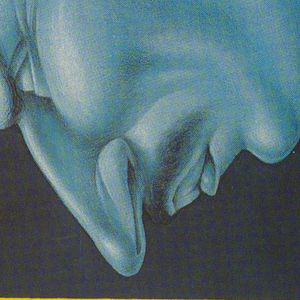 Book Cover, Tarabas