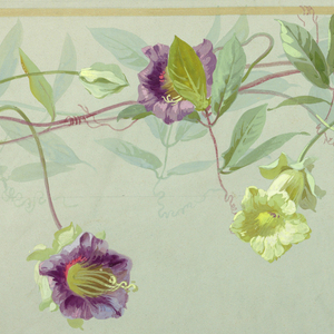 Drawing (USA)