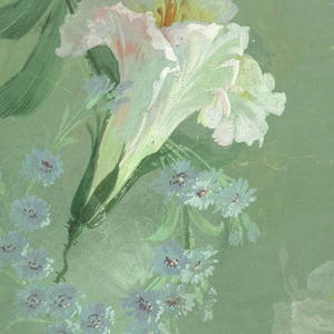 Drawing (USA)