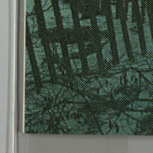 Book Cover, Like China