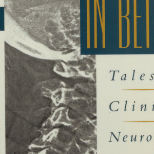 Book Cover, Life, Death, and in Between