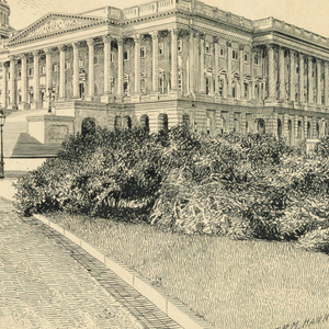 Drawing, The Capitol, Washington, D.C.