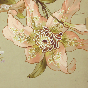 Drawing (USA)