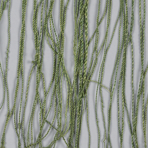 Fringe (Italy), 16th century