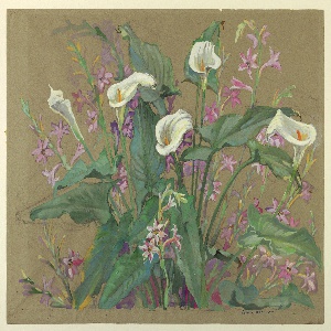 Drawing (England)