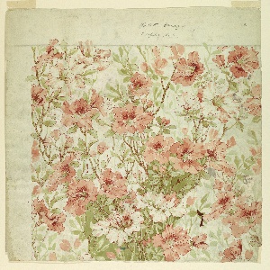 Drawing (USA)