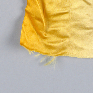 Ribbon (USA)