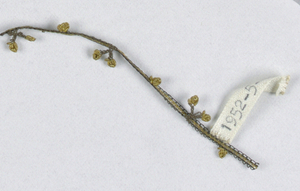 Trimming, early 20th century