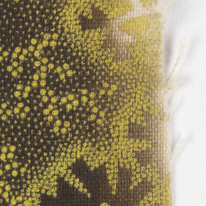 Sample (England)