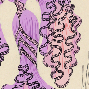 Drawing, Cleo de Merode