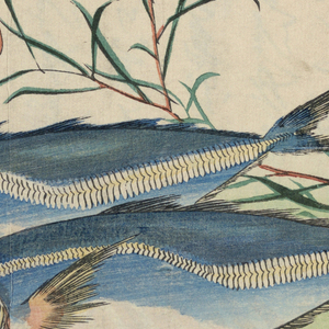 Print (Japan)