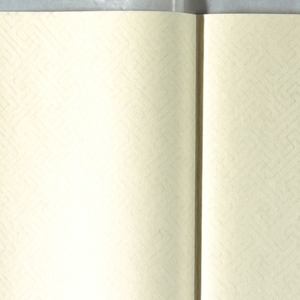 Book Papers, 1979