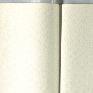 Book Papers, 1979