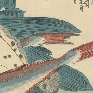 Print (Japan)