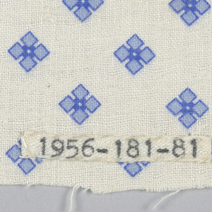 Fragment (USA), 19th century