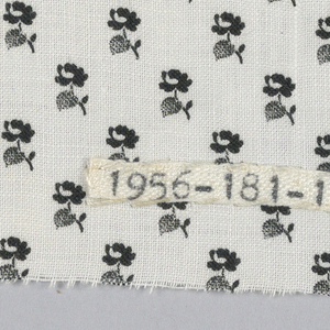 Fragment (USA), 19th century