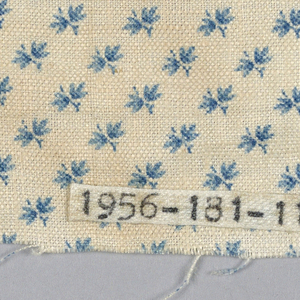 Fragment (USA), 19th century