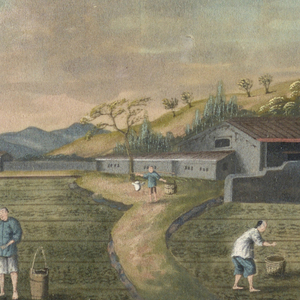 Drawing, Tea Planting, 1890–1910