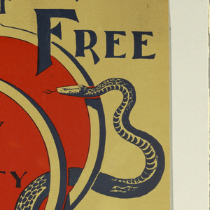 Poster (USA and others)