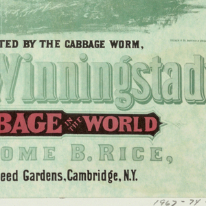 Poster (USA and others)