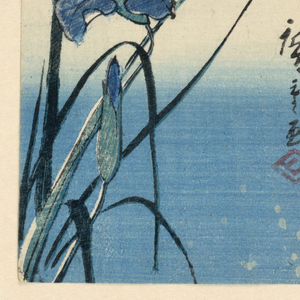 Print (Japan)