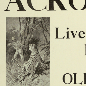 Poster (USA and others)