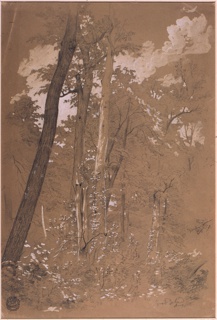 Drawing, Goat Island