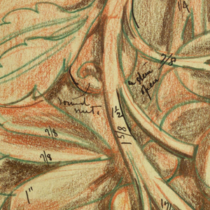 Drawing (USA)