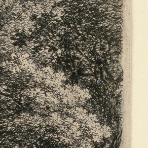 Print (Netherlands)