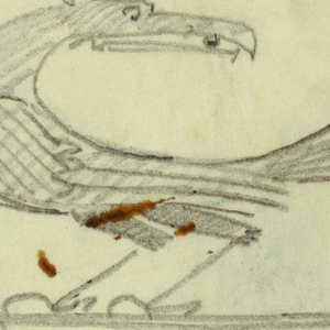 Drawing, Bird