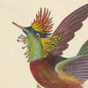 Print (Germany)