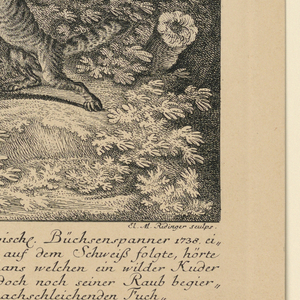Print (Germany)