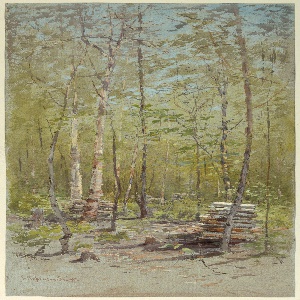 Drawing, Birch Trees, ca. 1880
