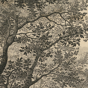 Print (Netherlands)