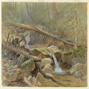 Drawing, Pool in the Woods, 1875