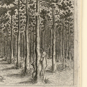 Print, Perspective of Garden and Grove, 16th–17th century
