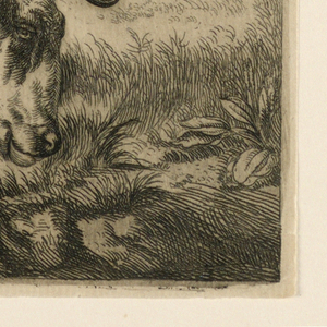 Print (Netherlands)
