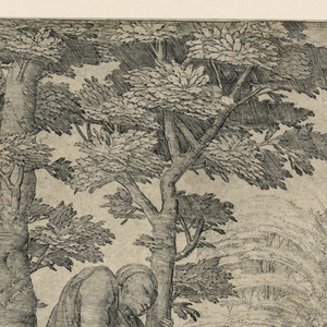 Print (Netherlands)