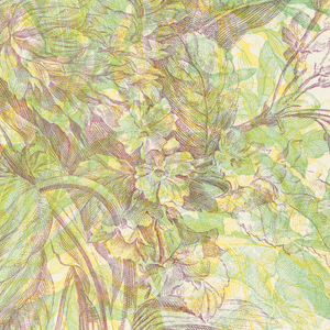 Print, Flower Still IV, 1989