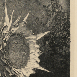 Print (Netherlands)