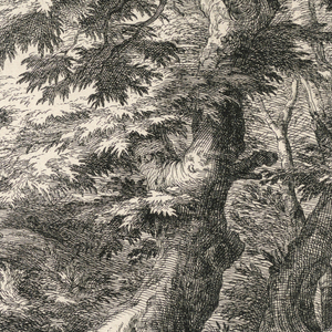 Print (Netherlands)