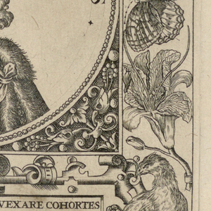 Print (Netherlands)