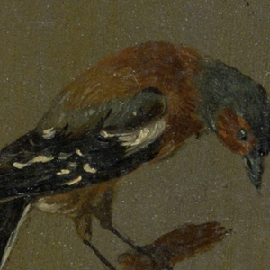 Drawing (Belgium)