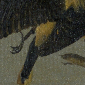 Drawing (Belgium)