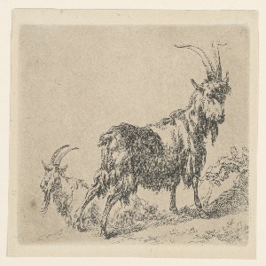 Print (Netherlands)