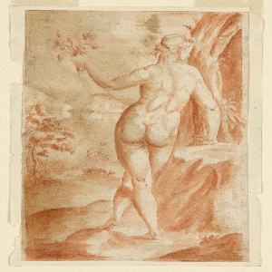 Drawing (Netherlands)