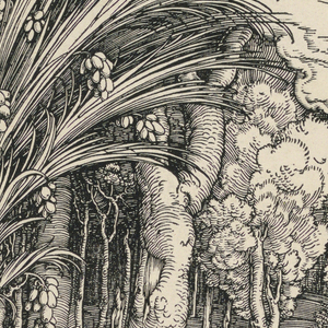 Print (Germany)