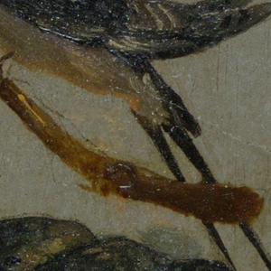 Drawing (Belgium)