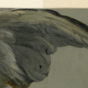 Drawing (Belgium)